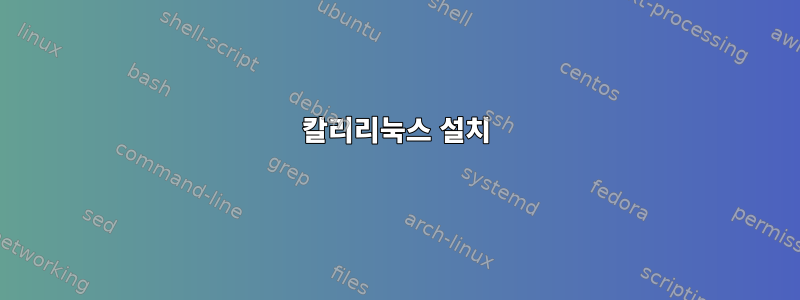 칼리리눅스 설치