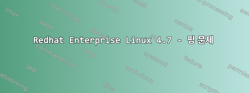 Redhat Enterprise Linux 4.7 - 핑 문제