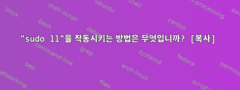 "sudo ll"을 작동시키는 방법은 무엇입니까? [복사]