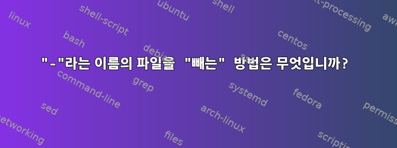 "-"라는 이름의 파일을 "빼는" 방법은 무엇입니까?