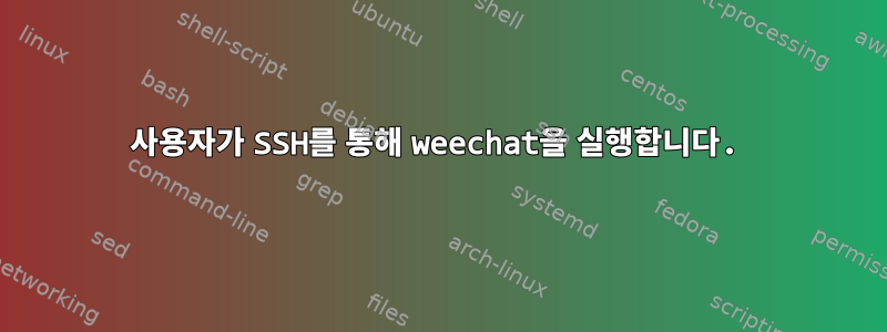 사용자가 SSH를 통해 weechat을 실행합니다.