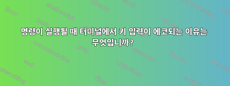 명령이 실행될 때 터미널에서 키 입력이 에코되는 이유는 무엇입니까?