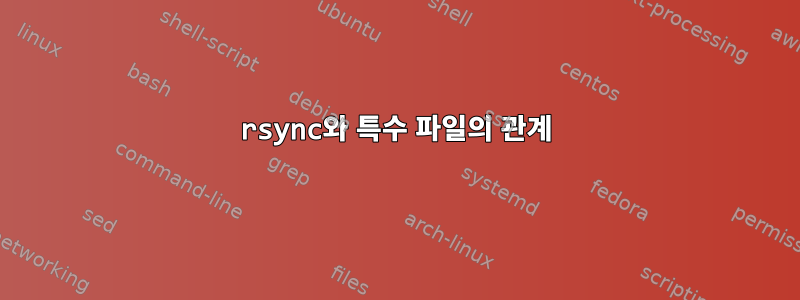 rsync와 특수 파일의 관계