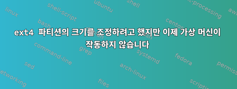 ext4 파티션의 크기를 조정하려고 했지만 이제 가상 머신이 작동하지 않습니다