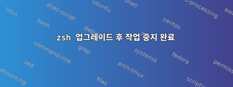 zsh 업그레이드 후 작업 중지 완료