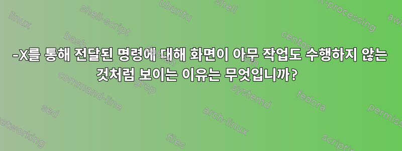 -X를 통해 전달된 명령에 대해 화면이 아무 작업도 수행하지 않는 것처럼 보이는 이유는 무엇입니까?