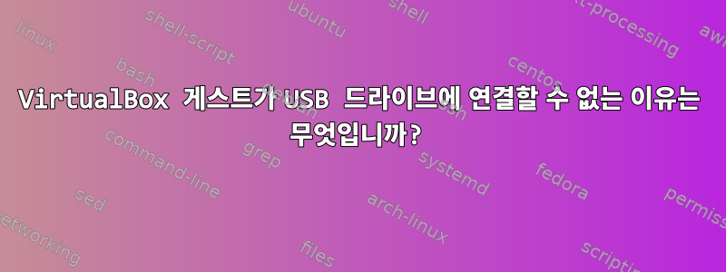 VirtualBox 게스트가 USB 드라이브에 연결할 수 없는 이유는 무엇입니까?