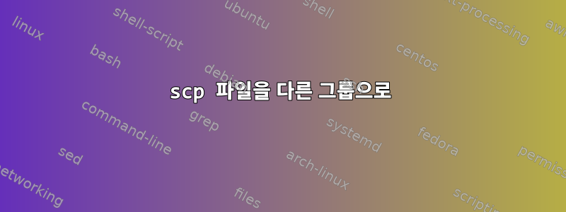 scp 파일을 다른 그룹으로