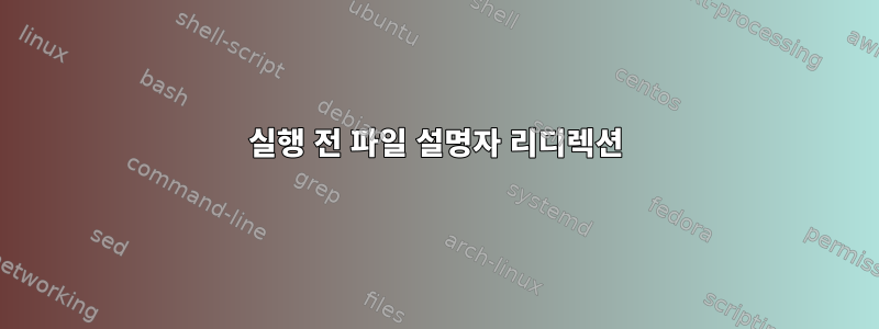 실행 전 파일 설명자 리디렉션