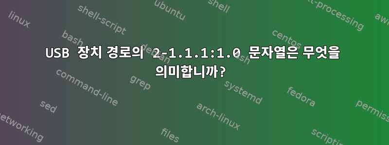 USB 장치 경로의 2-1.1.1:1.0 문자열은 무엇을 의미합니까?