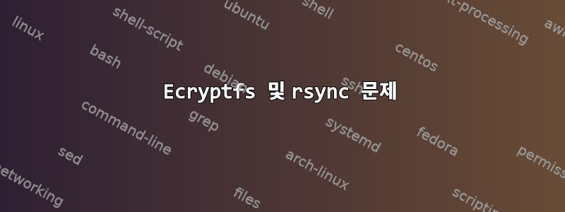 Ecryptfs 및 rsync 문제