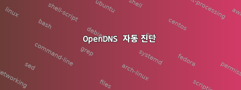 OpenDNS 자동 진단