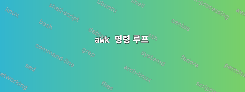 awk 명령 루프