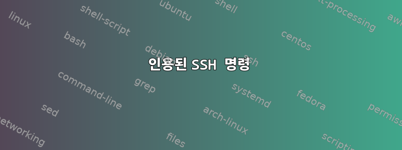 인용된 SSH 명령