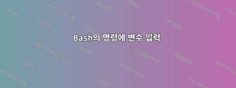 Bash의 명령에 변수 입력