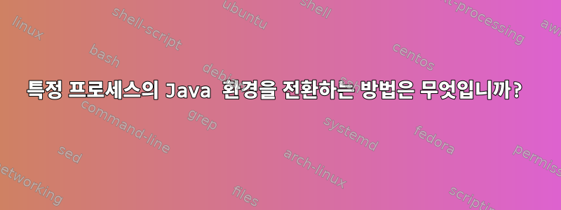 특정 프로세스의 Java 환경을 전환하는 방법은 무엇입니까?