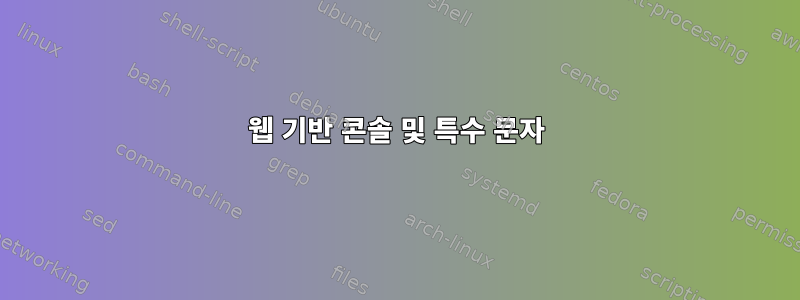 웹 기반 콘솔 및 특수 문자