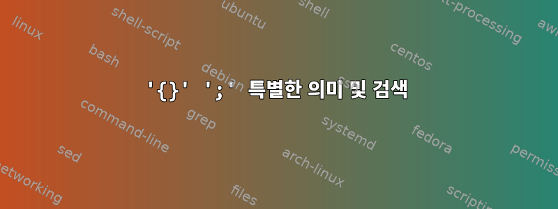 '{}' ';' 특별한 의미 및 검색