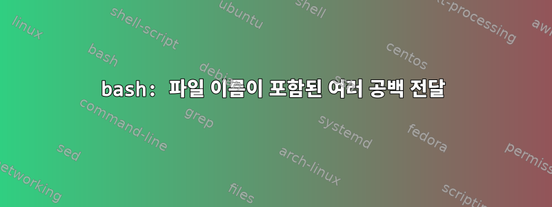 bash: 파일 이름이 포함된 여러 공백 전달