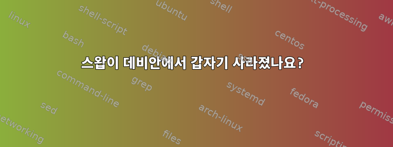 스왑이 데비안에서 갑자기 사라졌나요?