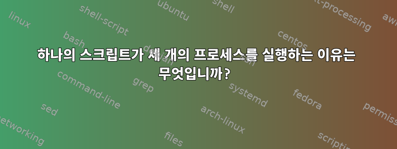 하나의 스크립트가 세 개의 프로세스를 실행하는 이유는 무엇입니까?