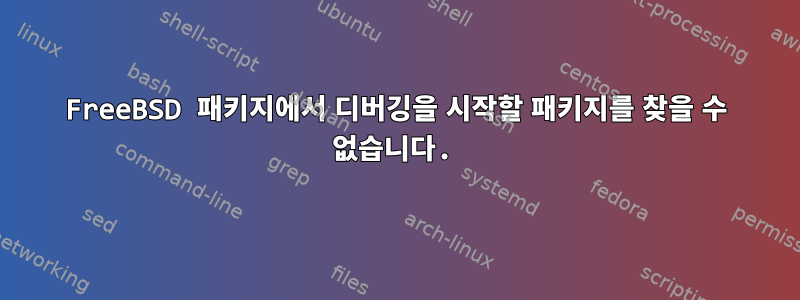 FreeBSD 패키지에서 디버깅을 시작할 패키지를 찾을 수 없습니다.