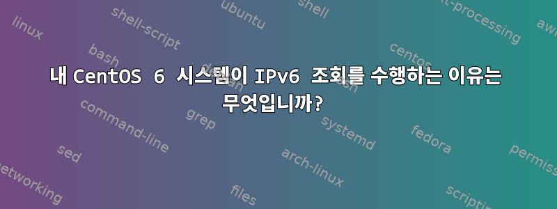 내 CentOS 6 시스템이 IPv6 조회를 수행하는 이유는 무엇입니까?