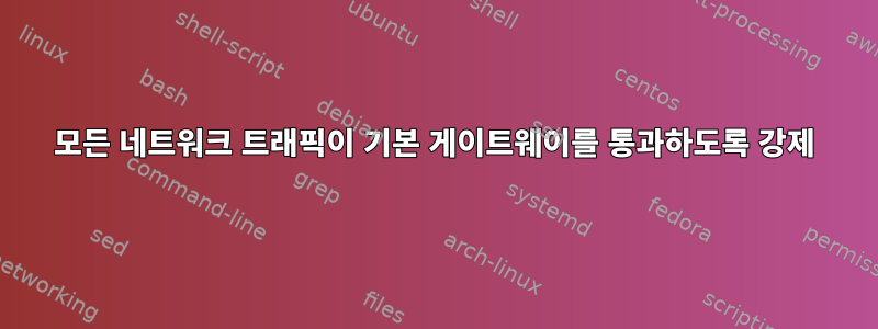 모든 네트워크 트래픽이 기본 게이트웨이를 통과하도록 강제