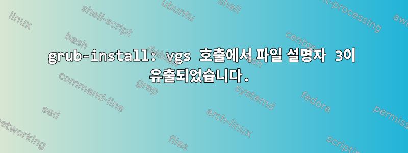 grub-install: vgs 호출에서 파일 설명자 3이 유출되었습니다.