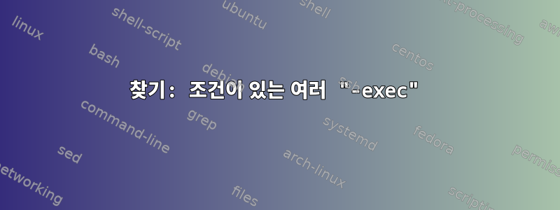 찾기: 조건이 있는 여러 "-exec"