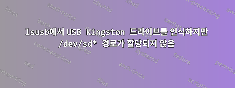 lsusb에서 USB Kingston 드라이브를 인식하지만 /dev/sd* 경로가 할당되지 않음