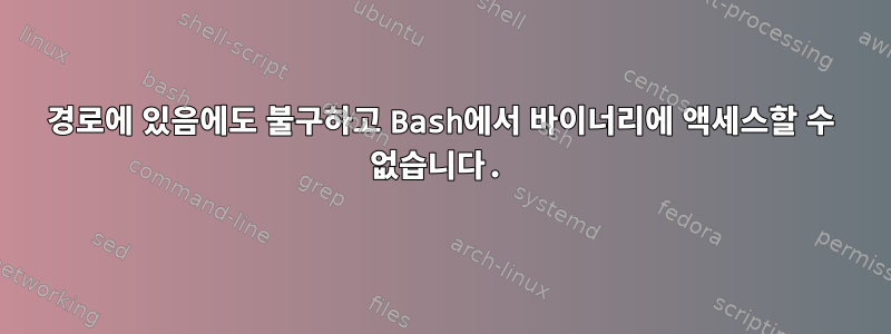 경로에 있음에도 불구하고 Bash에서 바이너리에 액세스할 수 없습니다.