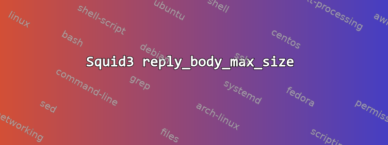 Squid3 reply_body_max_size