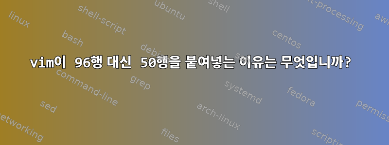 vim이 96행 대신 50행을 붙여넣는 이유는 무엇입니까?