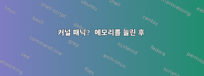 커널 패닉? 메모리를 늘린 후