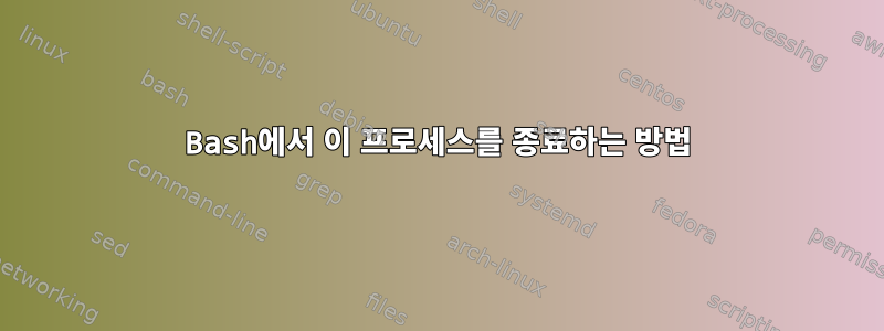 Bash에서 이 프로세스를 종료하는 방법