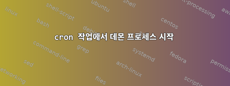 cron 작업에서 데몬 프로세스 시작