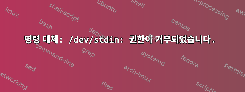 명령 대체: /dev/stdin: 권한이 거부되었습니다.