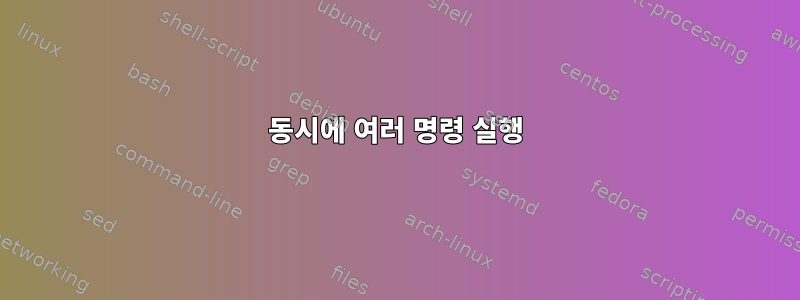 동시에 여러 명령 실행