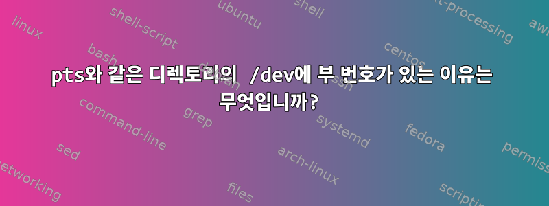 pts와 같은 디렉토리의 /dev에 부 번호가 있는 이유는 무엇입니까?