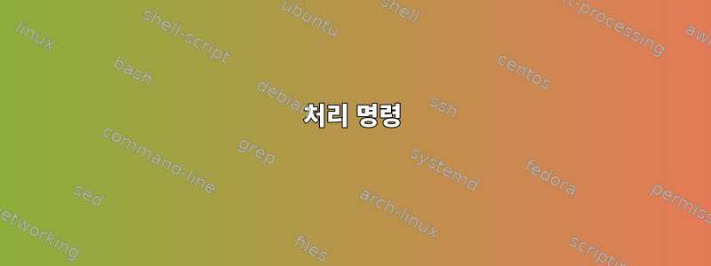 처리 명령