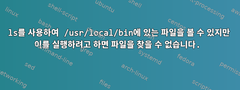 ls를 사용하여 /usr/local/bin에 있는 파일을 볼 수 있지만 이를 실행하려고 하면 파일을 찾을 수 없습니다.