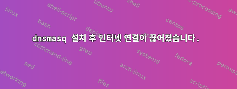 dnsmasq 설치 후 인터넷 연결이 끊어졌습니다.