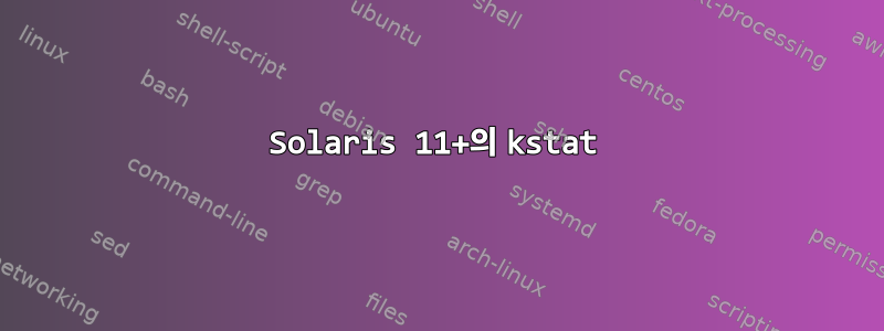 Solaris 11+의 kstat