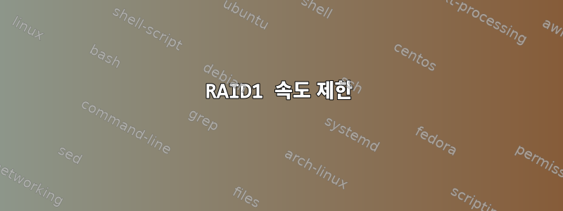 RAID1 속도 제한