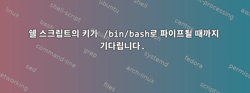 쉘 스크립트의 키가 /bin/bash로 파이프될 때까지 기다립니다.