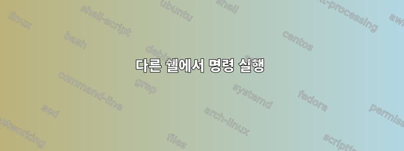 다른 쉘에서 명령 실행