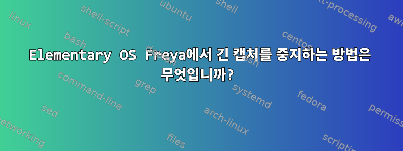 Elementary OS Freya에서 긴 캡처를 중지하는 방법은 무엇입니까?