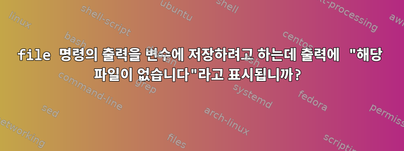 file 명령의 출력을 변수에 저장하려고 하는데 출력에 "해당 파일이 없습니다"라고 표시됩니까?