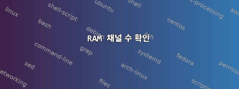 RAM 채널 수 확인